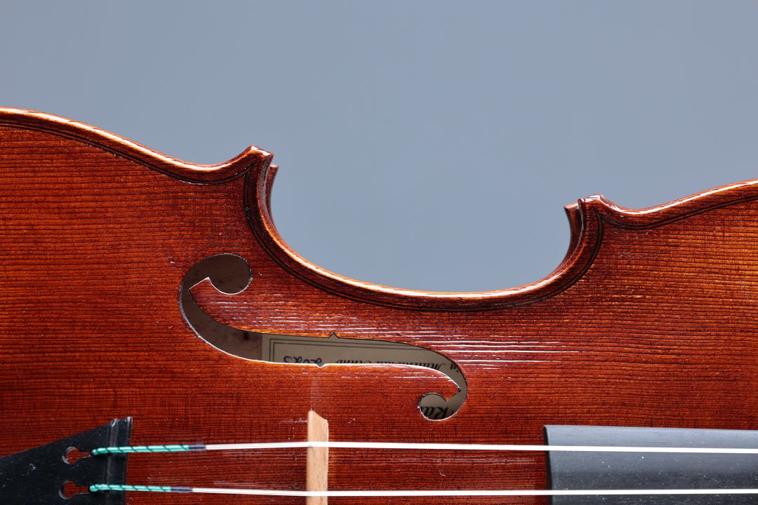 Leonhardt Rainer W. - Mittenwald Anno 2025 - November Bird - G-854